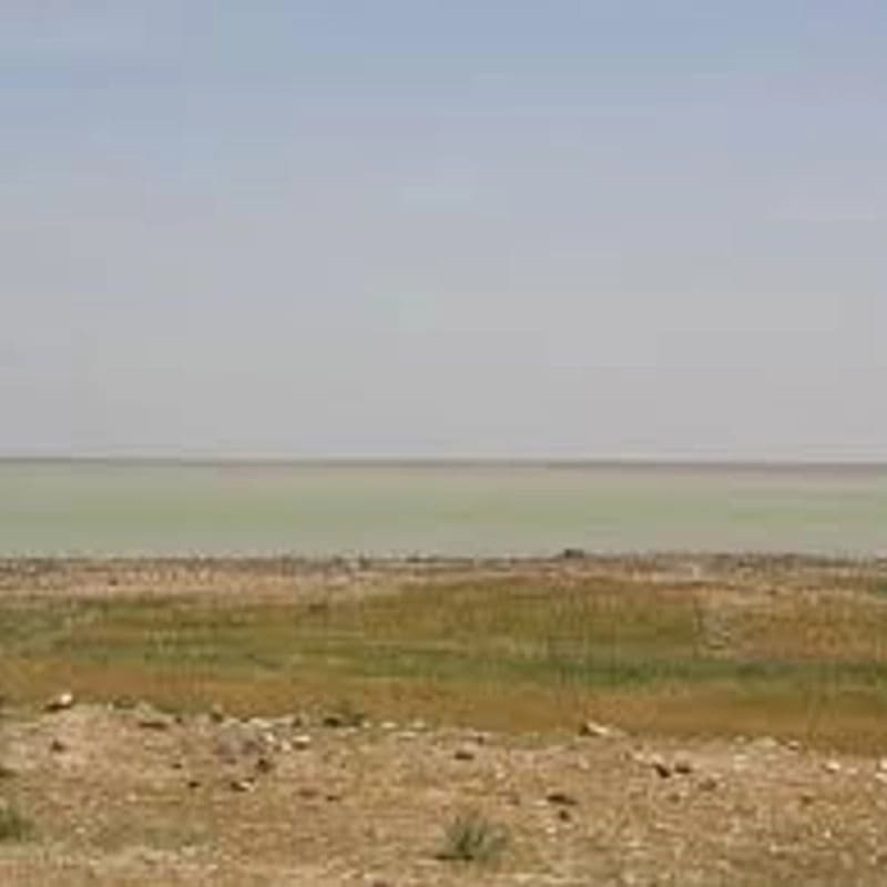 جبول