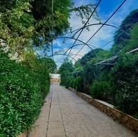 منتزه الشاميات